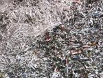 Shredded Paper Bales - 110kg per bale - Image 3