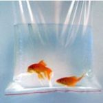 Zip bag (bank bag type) - 220x250mm (100 packets)