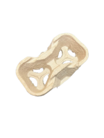 Moulded coffee cup - (2 cup ) Tray -* 100% biodegradable