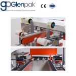 DFXS7050 (AUTO) edge sealer x 2 edge type Carton sealer - Image 7